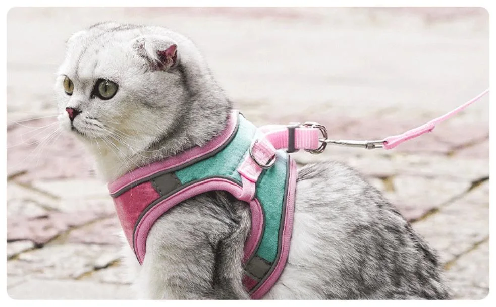 Adjustable Harness Collar Soft Breathable Vest Pet Walking Lead Leash for Cat